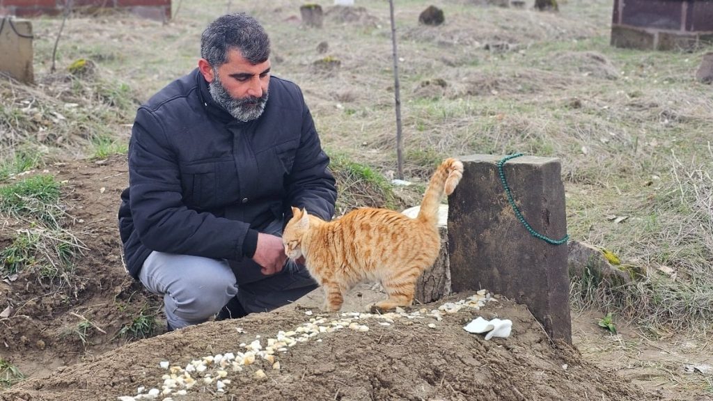 Muş’ta eşinin öldürdüğü adamın kedileri mezardan ayrılmıyor