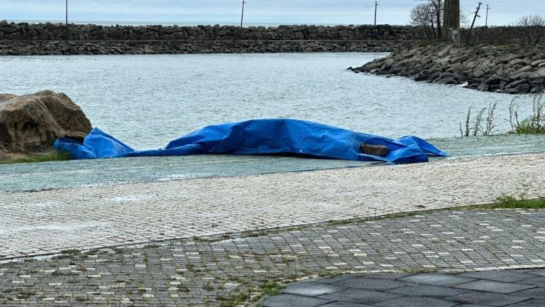 Ordu’da sahilde şüpheli otonom araç bulundu