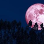 Pembe Dolunay tarihi 2026:  Pembe ay ne zaman, saat kaçta görünecek