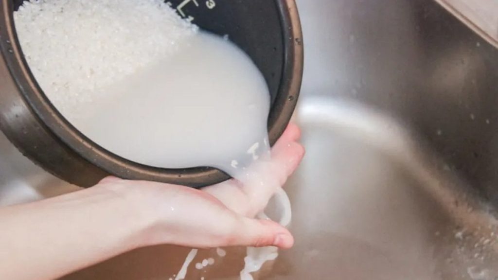 Saksılara “pirinç suyu” döken kurtarıyor; İşte faydası…