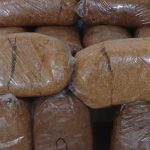 Samsun’da kaçak tütün operasyonu