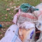 Şanlıurfa’da çuvallarda kesilmiş at başı bulundu