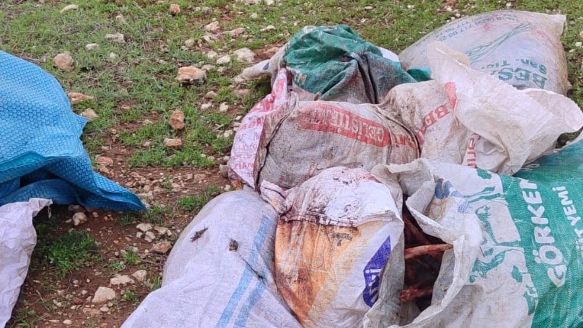 Şanlıurfa’da çuvallarda kesilmiş at başı bulundu