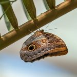 Selçuklu Belediyesi Ramazan Bayramı’na Hazır