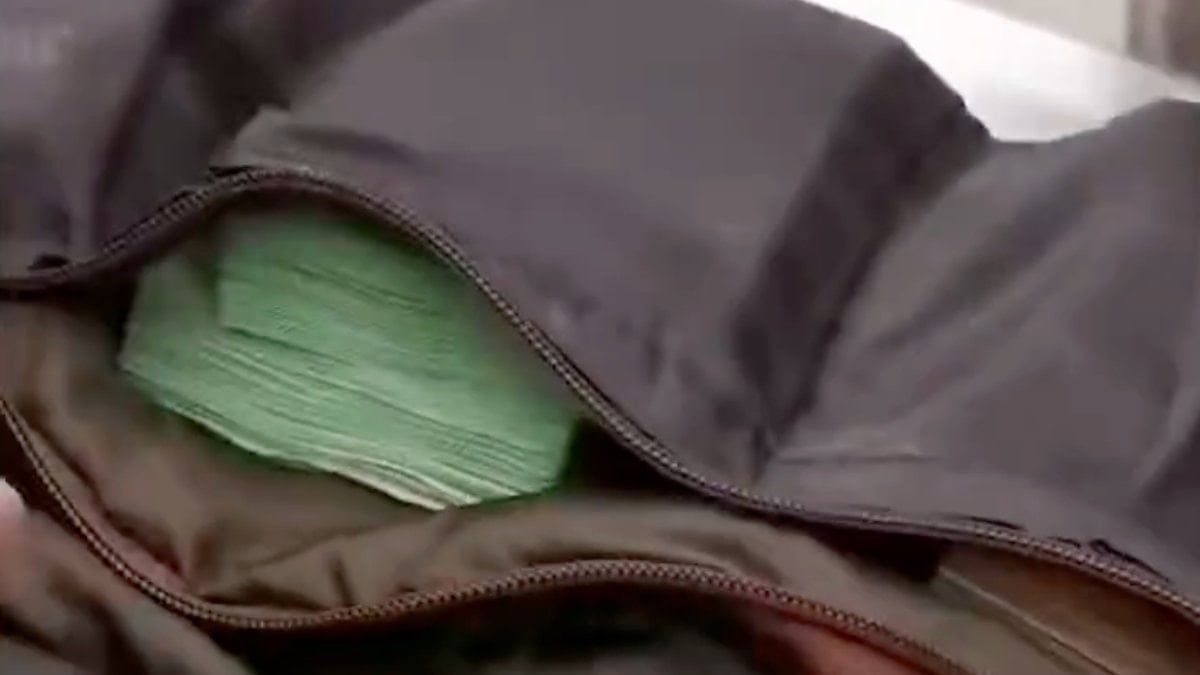 Sırbistan’tan Türkiye’ye gitmek isterken üzerinde 374 bin euro ile yakalandı