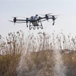 Sivrisinek ve zararlılara karşı İzmir modeli