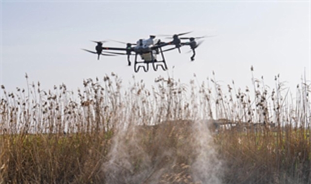 Sivrisinek ve zararlılara karşı İzmir modeli