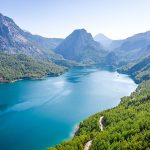 Su ve Orman: Doğanın, Refahın ve Eşitliğin Temel Taşları