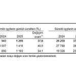 Tarımsal İşletme İşgücü Ücret Yapısı, 2025
