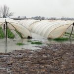 TARSİM’de prim oranları belli oldu