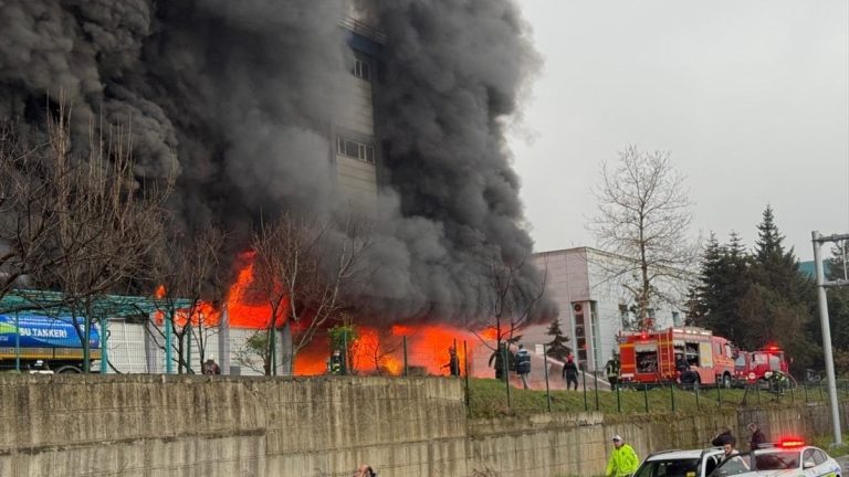 Trabzon’da fındık fabrikası deposunda yangın