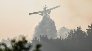 Türkiye, orman yangınlarıyla mücadelede araç sayısını artırıyor