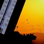 Türkiye’de son yarım asrın en sıcak 3’üncü şubat ayı yaşandı