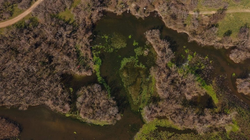 Türkiye’nin 3’üncü büyük longozu yeniden suyla doldu