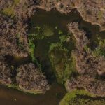 Türkiye’nin 3’üncü büyük longozu yeniden suyla doldu