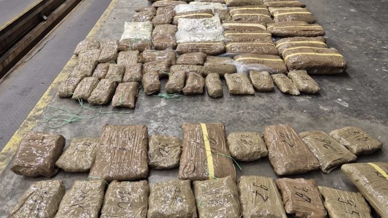 Türkiye’ye sokulmaya çalışılan 45 kilo 760 gram esrar sınırda ele geçirildi