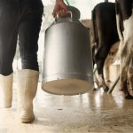 TÜSEDAD uyardı: Gıda enflasyonunda artış kaçınılmaz hale geliyor