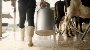 TÜSEDAD uyardı: Gıda enflasyonunda artış kaçınılmaz hale geliyor