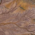 Tuzla Palas Gölü’nde doğanın sanatı: Suların oluşturduğu izler ‘hayat ağacını’ andırdı