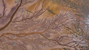 Tuzla Palas Gölü’nde doğanın sanatı: Suların oluşturduğu izler ‘hayat ağacını’ andırdı