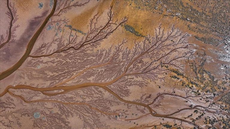 Tuzla Palas Gölü’nde doğanın sanatı: Suların oluşturduğu izler ‘hayat ağacını’ andırdı