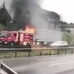 Tuzla TEM Otoyolu’nda tır yangını