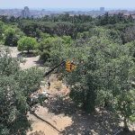 “Üsküdar Belediyesi’nin “Validebağ Korusu”nda Yaptığı Çalışmalar Avrupa’nın En İyi Uygulamaları Arasında