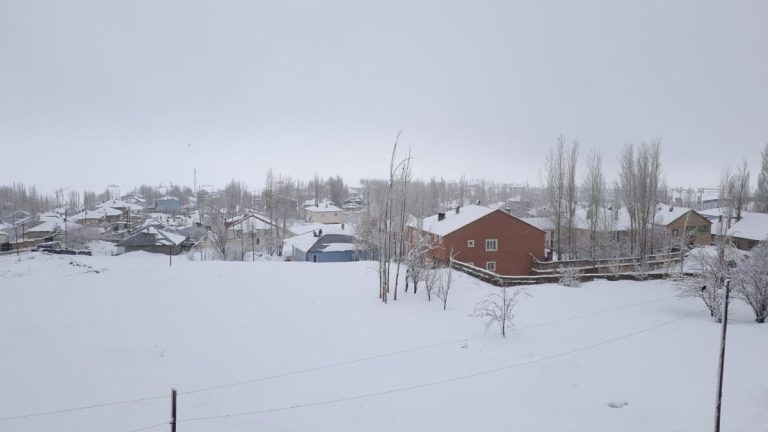 Van’da 34 yerleşim yeri kardan kapandı