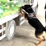 Van’da kamyonette 90 kilo uyuşturucu bulundu