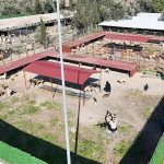 Vodafone ve Huawei, 5G Teknolojisiyle Fiber Hızını 81 İl 922 İlçede Evlere Taşıyacak