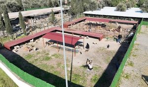 Vodafone ve Huawei, 5G Teknolojisiyle Fiber Hızını 81 İl 922 İlçede Evlere Taşıyacak