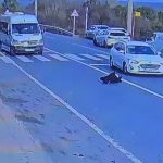 Yaya geçitlerinde ihlaller can almaya devam ediyor: Türkiye’den korkutan trafik kazaları