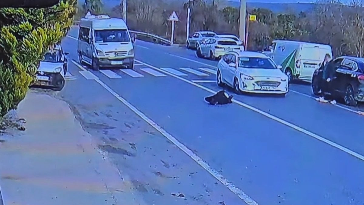 Yaya geçitlerinde ihlaller can almaya devam ediyor: Türkiye’den korkutan trafik kazaları