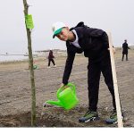 Yeni Yaşam Alanında Çınar Ağaçları Yükselecek