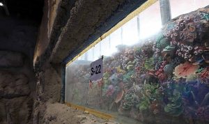 30 farklı akvaryum eşsiz bir gezi yaşatacak