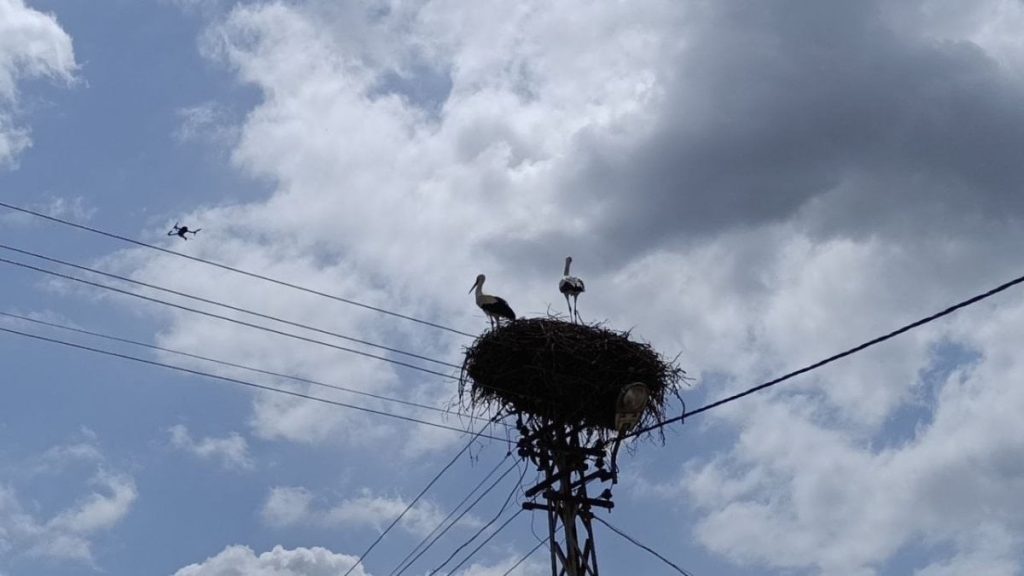 Adana’da yuvasına bu yıl eşiyle geldi