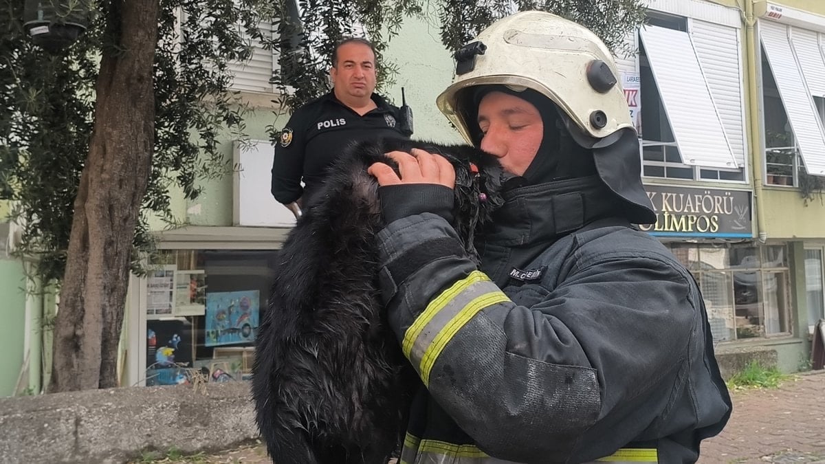 Antalya’da itfaiye eri dumandan etkilenen kediyi hayata döndürdü