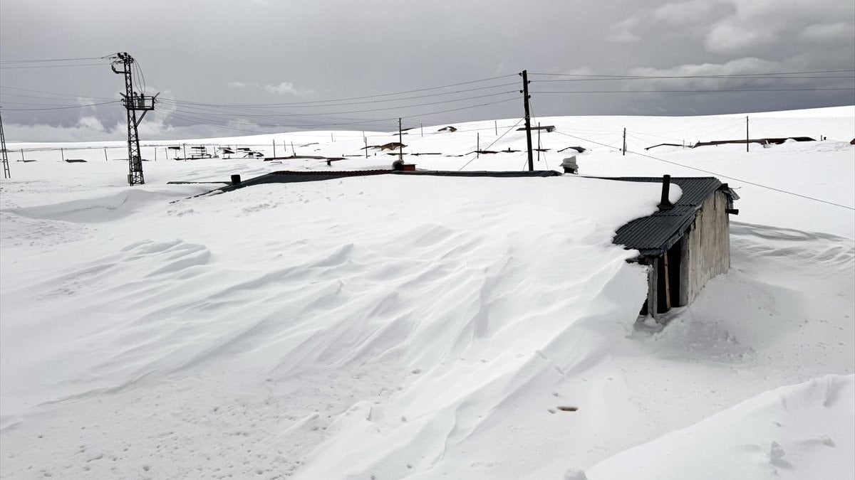 Ardahan’da yayla evleri kara gömüldü