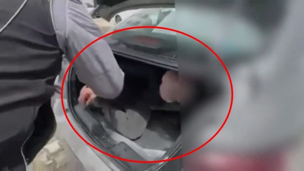 Bingöl’de yaklaşık 11 yıl hapis cezası bulunan firari hükümlü otomobilin bagajından çıktı