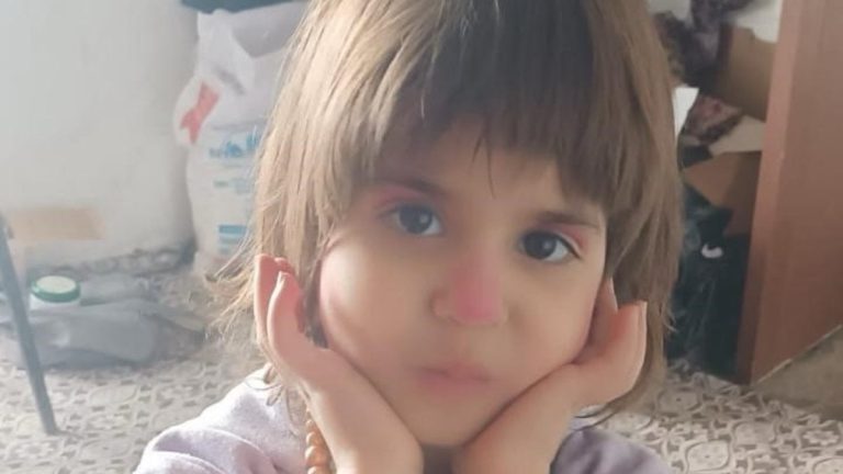 Bitlis’te kaybolan 4 yaşındaki kız çocuğu için arama çalışmaları başlatıldı