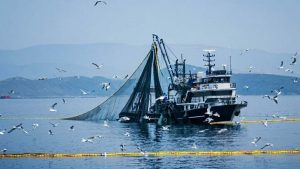 Denizlerde av yasağı 15 Nisan’da başlıyor