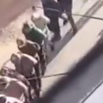İsrail ordusu, Filistinli gençleri gözaltına aldı