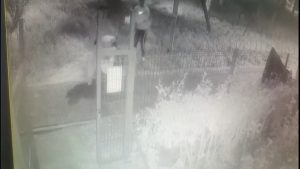 İstanbul’da ‘icraatlara devam’ diye video paylaşan hırsız yakalandı