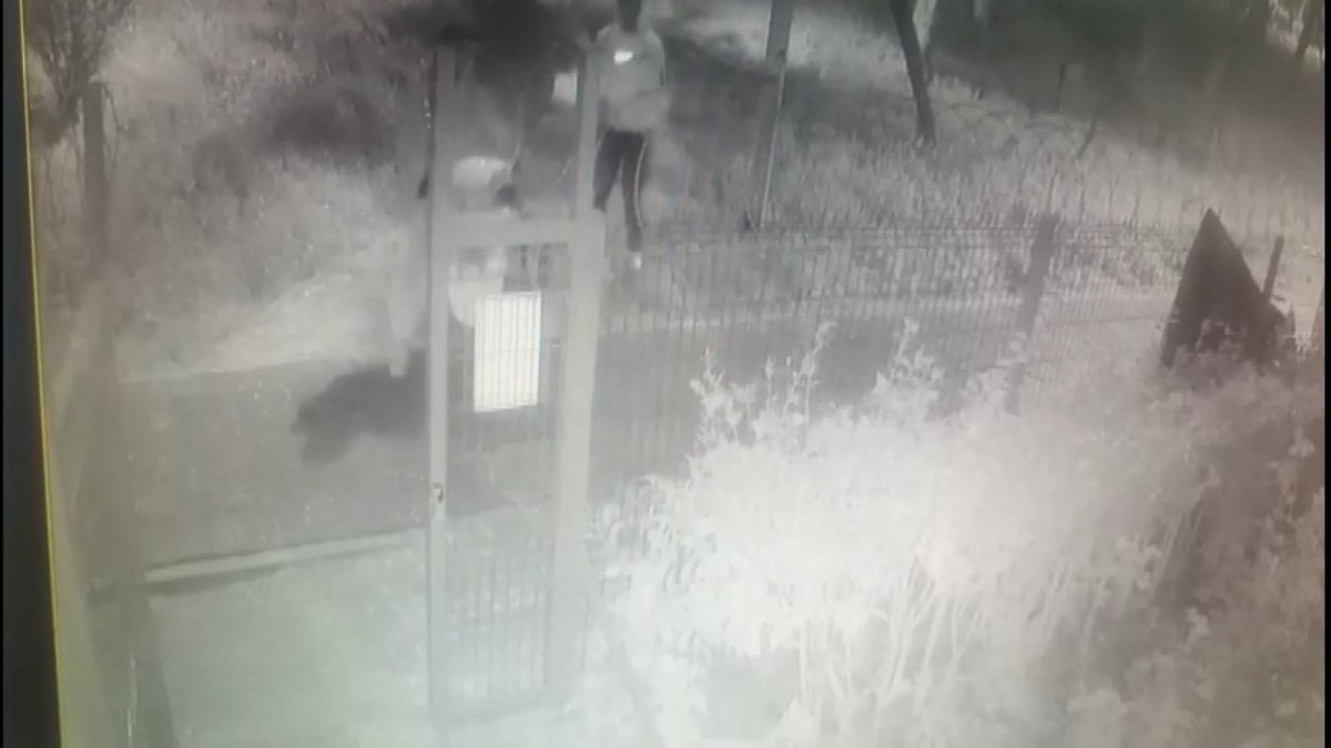 İstanbul’da ‘icraatlara devam’ diye video paylaşan hırsız yakalandı