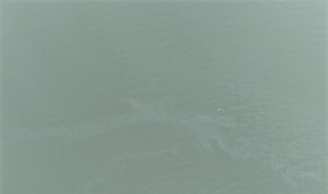 İzmir Körfezi’nde kirlilik alarmı: Aynı tehdit 11. kez görüldü