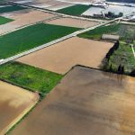 İzmir’de sağanak: Tarım arazileri sular altında