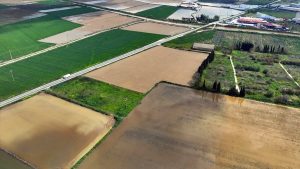 İzmir’de sağanak: Tarım arazileri sular altında