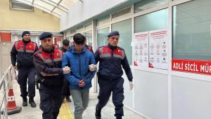 Kocaeli’nde bağ evindeki baltalı-kazmalı cinayette 2 sanığa hapis cezası
