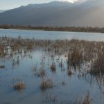 Konya’da Nasreddin Hoca’nın maya çaldığı göl, yıllar sonra canlandı