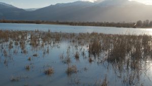 Konya’da Nasreddin Hoca’nın maya çaldığı göl, yıllar sonra canlandı